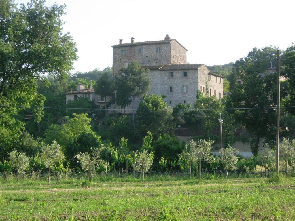 Gli Appartamenti Di Torre Bertona Todi Phòng bức ảnh